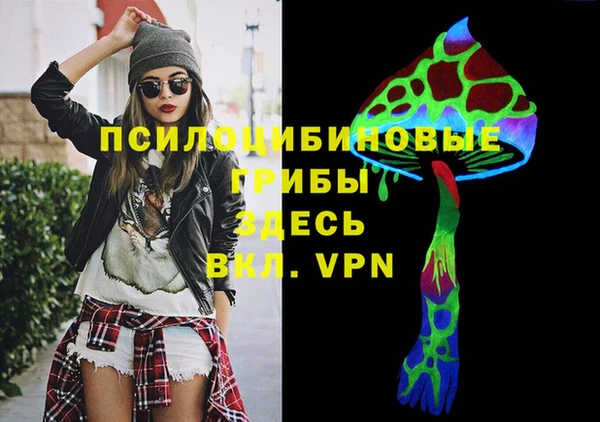 круглые Алзамай