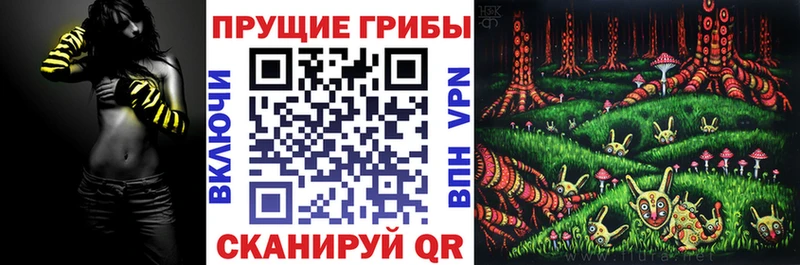 мега ТОР  закладки  Циолковский  Псилоцибиновые грибы прущие грибы 